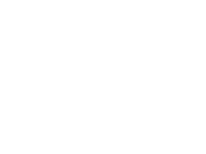 cocoonis_logo_transparent-2015